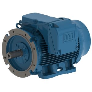 weg 22 inverter duty motor