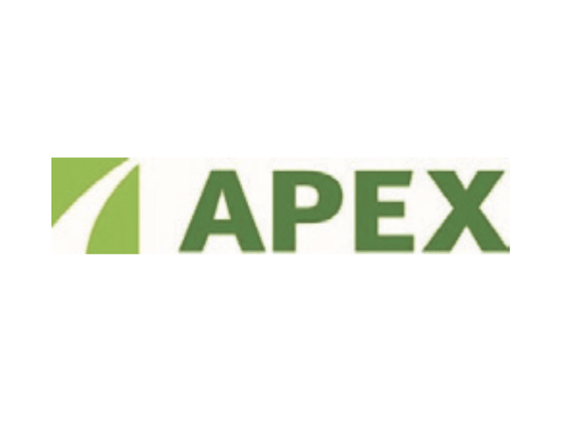Apex Motors logo in color