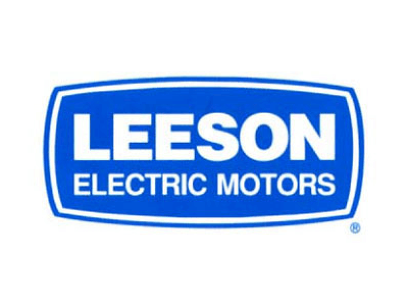 Leeson logo in color