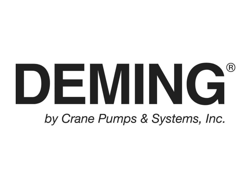 Deming Pump logo in black