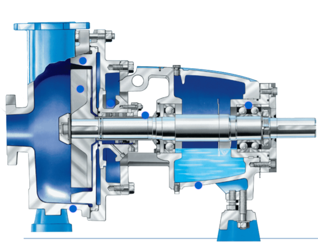 Hayward Gordon XR Torus Recessed Impeller Pump Diagram