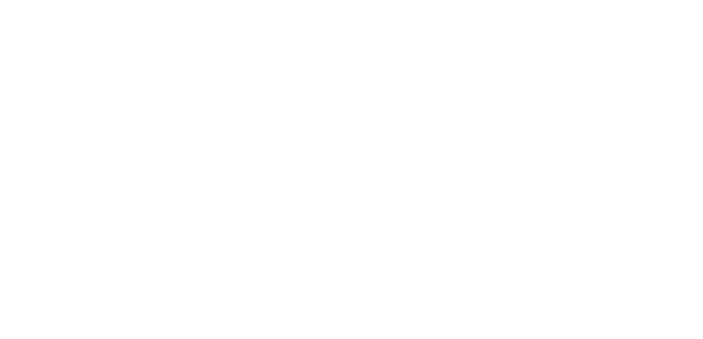 North American Electric Logo in White