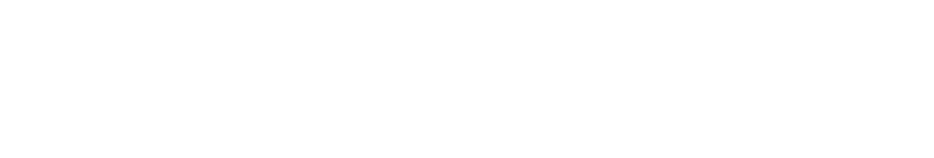 Sulzer Logo in White